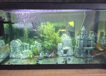 Sprzedam akwarium