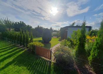 Działka ROD "Kraszewskiego"