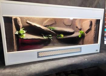 Terrarium meblowe białe pustynne stepowe wąż gekon agama