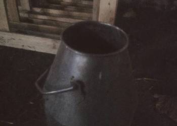 Bańka udojowa / Konwia na mleko 20L - stal nierdzewna