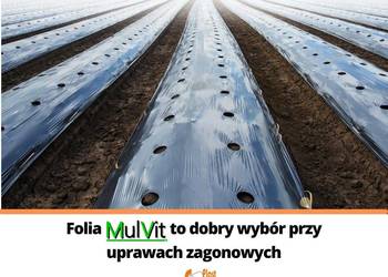 FOLIA ŚCIÓŁKUJACA  W UPRAWACH ZAGONOWYCH MULVIT