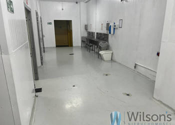 Lokal 2000m2 Nowe Lipiny