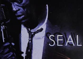 Polecam Wspaniały Album CD SEAL - Album Soul CD