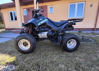 Kymco Kxr 250