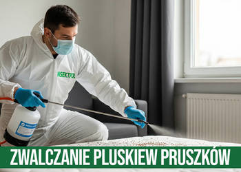 Zwalczanie pluskiew Pruszków - Odpluskwianie, Dezynsekcja