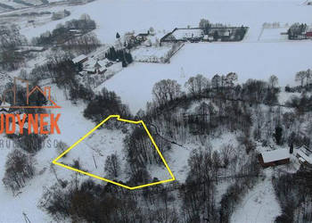 Działka rolna - Przystawy Działka rolna - Przystawy