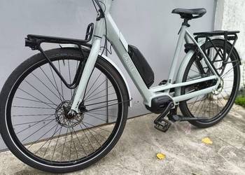 Gazelle Bloom C7 HMS 2023 rok