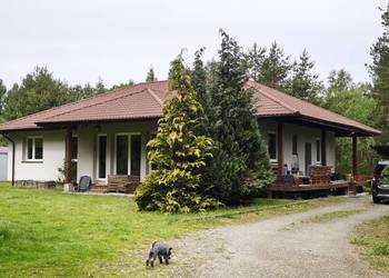 Sprzedam dom 146m2 na bardzo dużej 1,7-hektarowej działce