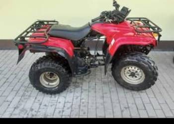 HONDA trx fourtax rincon 250 czesci