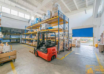 Lokal na wynajem Opole Cygana 720m2