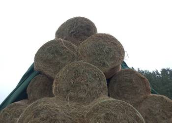 Sprzedam siano tel. 510 550 693