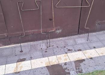 Podpórki do pomidorów szklarniowych
