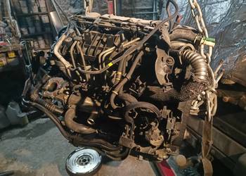 Silnik diesel 1,6 TDCI  G8DA wtryski, glowica, pompa