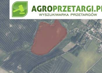 Dzierżawa 9,08 ha stawu