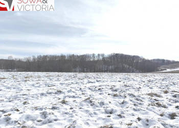 Inwestycja - Trzy bliźniaki lub domy jednorodzinne