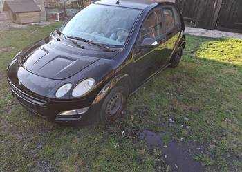 Smart Forfour 454 1,5 dci części zdrowy silnik lampy podsufitka zderzaki