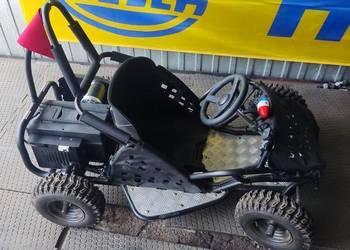 Buggy 1000w