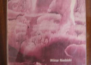 Wiktor Niedzicki - Tajemnice Ziemi