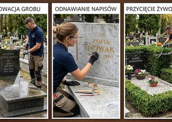 Przycięcie żywopłotu, skrócenie tui, cmentarz przy ul Osobowickiej, Wrocław