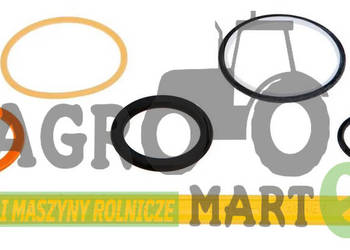 F931962020421 ZESTAW USZCZELEK ZŁĄCZA HYDR AGCO