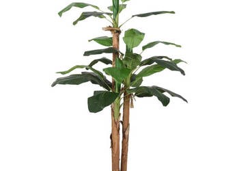Sztuczny bananowiec 18 liści 150 cm zielony WM-359001