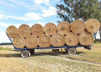 Słoma bele 160cm. dla bydła drobiu koni