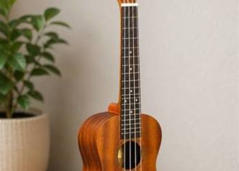 Ukulele Mellow jak nowe oryginalna cena 289 zl
