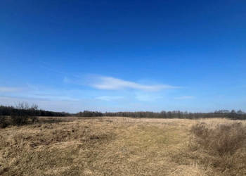 Oferta sprzedaży działki 43100m2 Śladków Duży