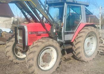 Massey Ferguson 3070 tur Agram