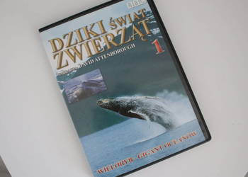 Film Dziki świat zwierząt płyta DVD