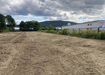 karczowanie, czyszczenie, rekultywacja, działek, wycinka drzew, Golkowice