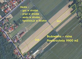 Działka Rolno - Budowlana 9900 m2 Nietulisko Małe