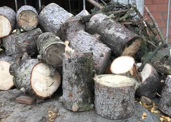 Sprzedam drewno drzewo opałowe