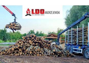Suche Drewno Kominkowe Gniezno | Dostawa | LDO Andrzejewski