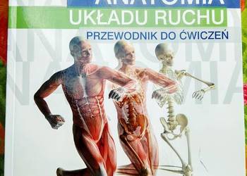 Anatomia układu ruchu Urban