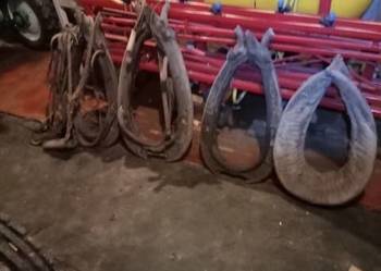 Homonta z uprzężami Homonta z uprzężami