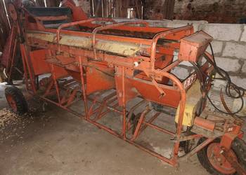 Sortownik rolkowy produkcji rosyjskiej do cebuli ziemniaków kosz