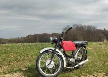 jawa 50 sport mustang