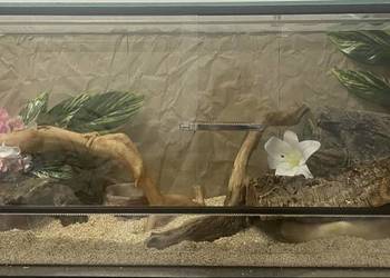 sprzedam duże szklane terarium 100x40x40