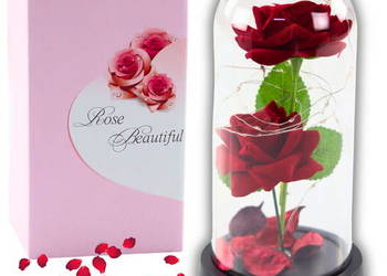 Wieczna Róża 2 róże w Kopule z Oświetleniem LED prezent Dzień Kobiet