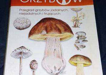 Ilustrowany atlas grzybów -  Emilia Grzędzicka