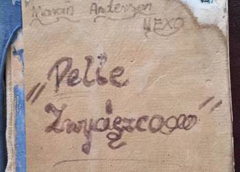 Pelle Zwycięzca Marcin Andersen Nexo