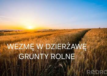 Grunty rolne