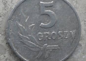 POLSKA-5 GROSZY-1962 r (b.z.)-AL-