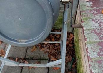 Zaprawiania do ziarna zbóż