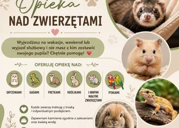 Opieka nad zwierzętami