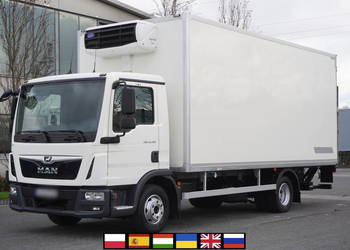 MAN TGL 12.190 / Zabudowa chłodnia 14 EPAL/Carrier Xarios 500/3 szt._241911