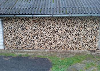 drzewo opałowe suche