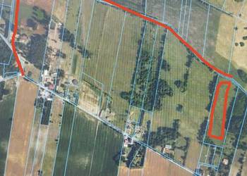 Działka 2,25 ha - Olszowiec (gm. Brochów, woj. Mazowieckie)