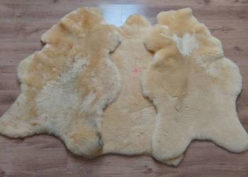 Skóra Owcza Naturalna Relugan 2 klasa TANIO